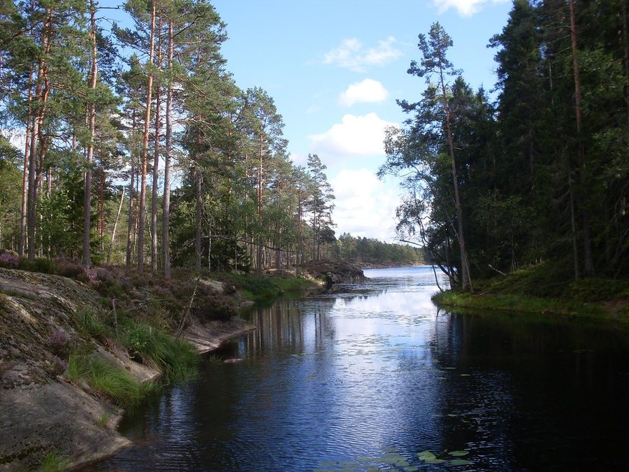 Vista da un ponte tra il Lago Stora Tresticklan e il Lago Lilla Tresticklan nel Parco nazionale di Tresticklan