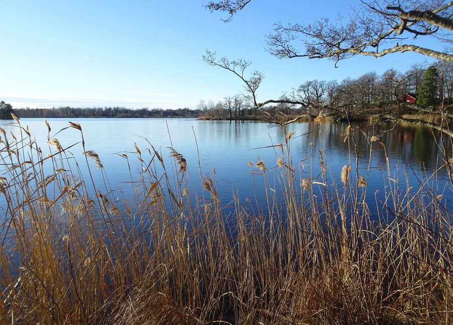 Il lago Båven presso la strada nazionale 57