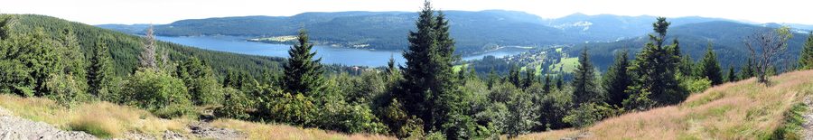 Vista sul lago Schluchsee nella Foresta Nera con rive boscose
