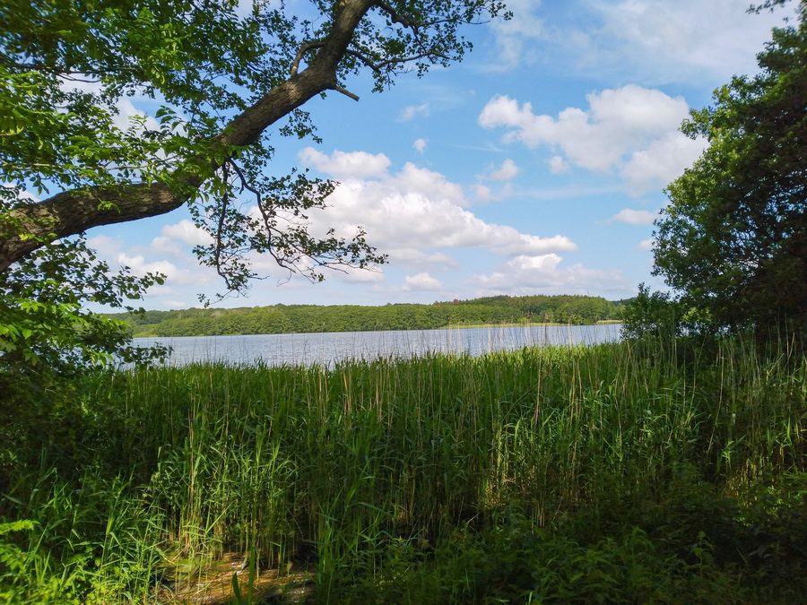 Vista dalla riva sud del Bistensee verso la riva nord