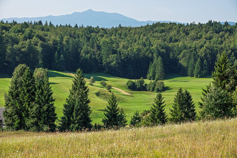 Prati e boschi sull'altopiano di Bloke in Slovenia