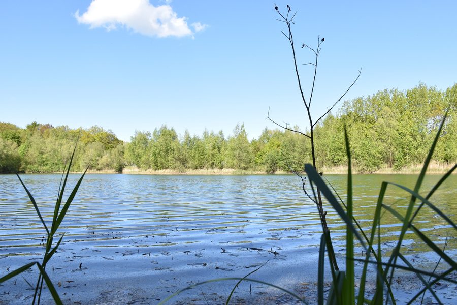 Paesaggio lacustre di Kreuzkamp con un lago e i boschi circostanti