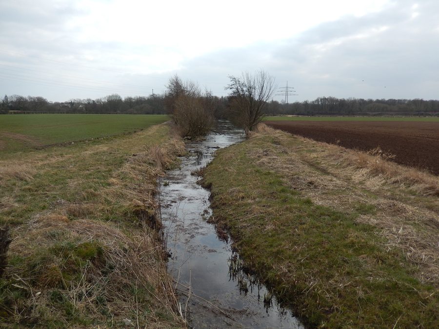 Canale Seegraben nella riserva naturale Drakenburger Marsch