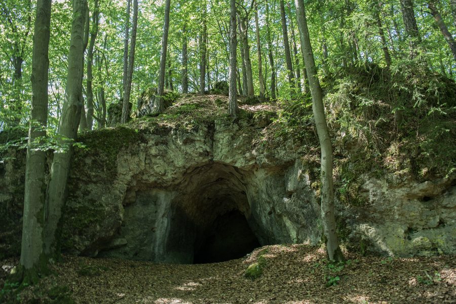Ingresso della grotta Bettelküche presso Neukirchen bei Sulzbach-Rosenberg