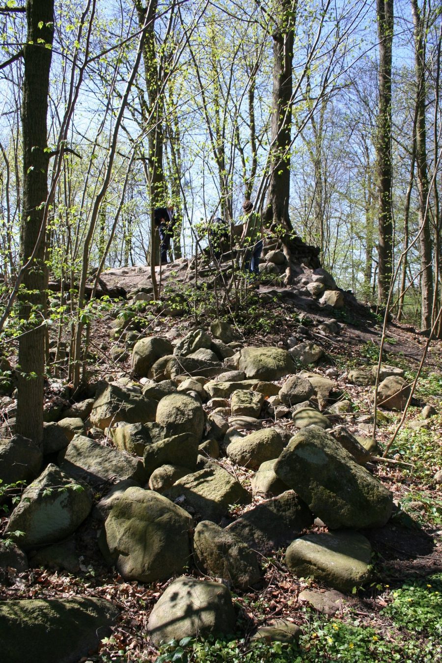 Resti della fortezza di Linau