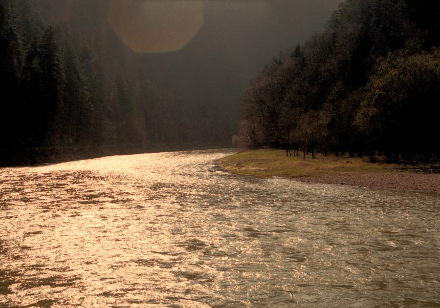 Gola del fiume Dunajec nel Parco Nazionale di Pieniny, Slovacchia