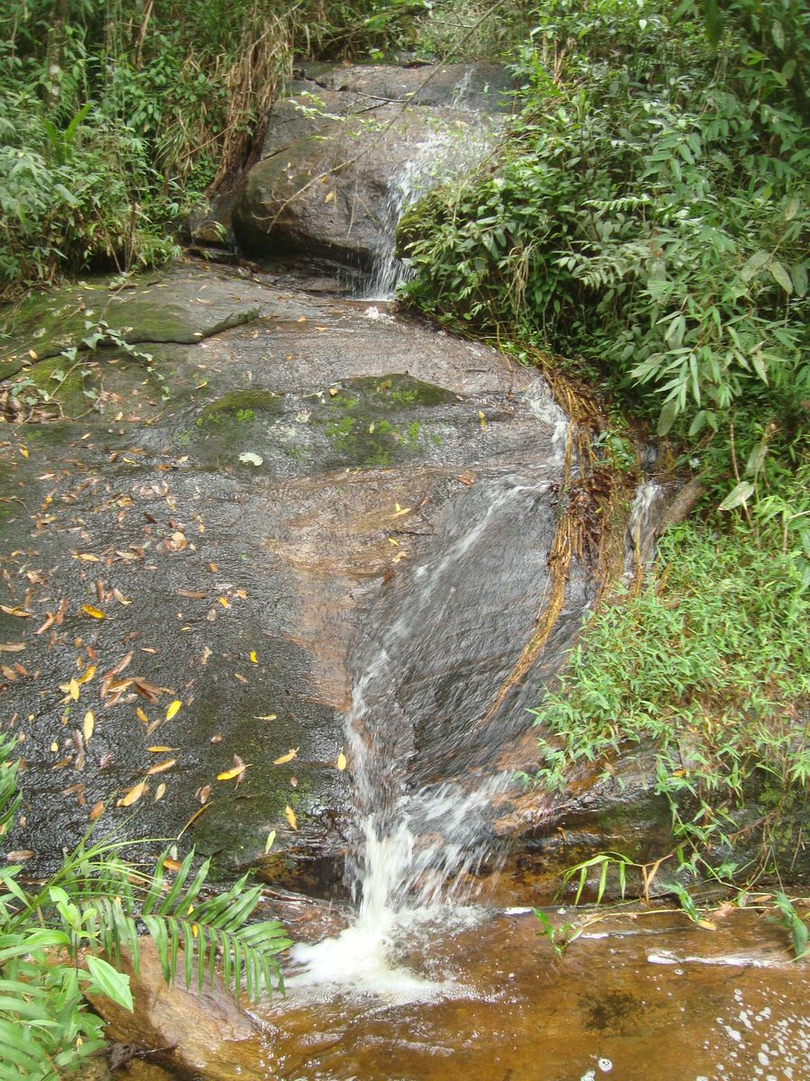 Cascata nel Parco statale della Serra do Brigadeiro presso Araponga, Minas Gerais