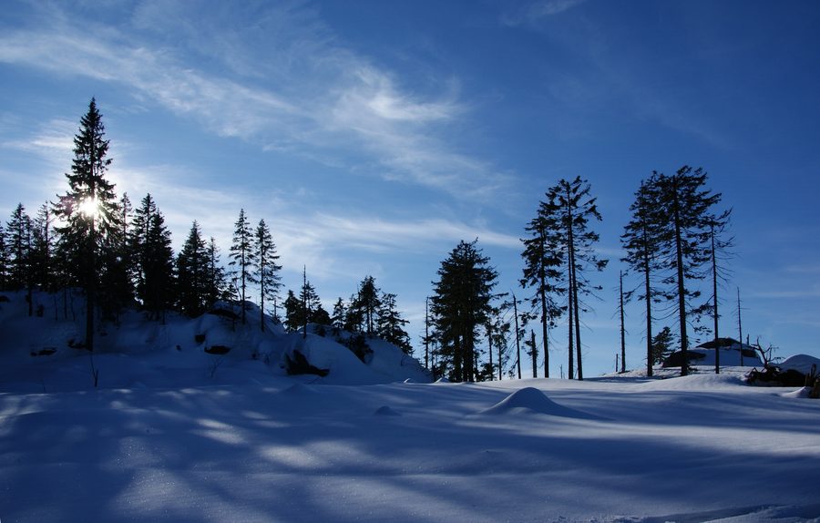 Area di vetta del Dreisesselberg nel Bayerischer Wald