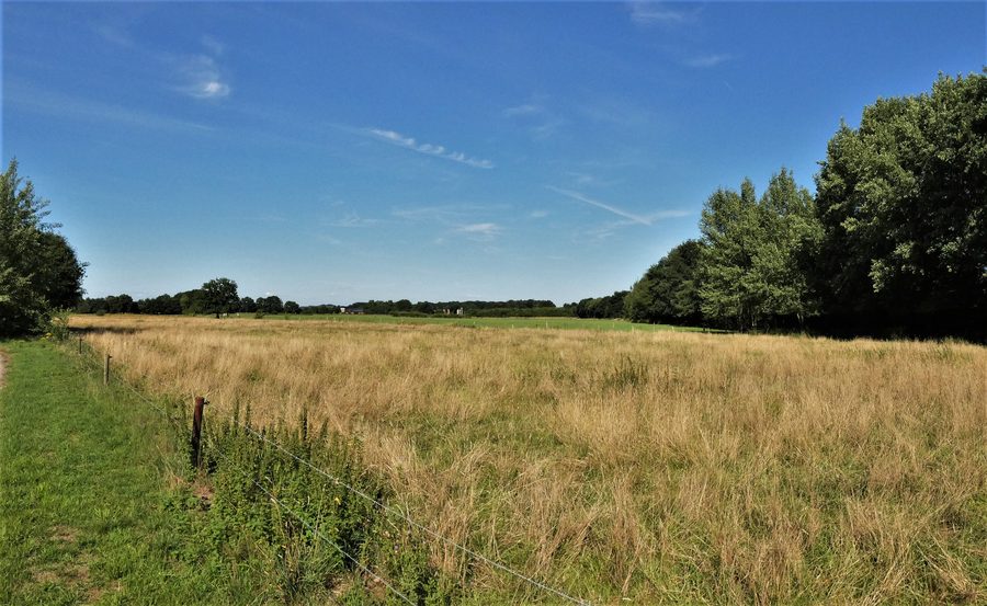 Area naturale protetta Bietenschlatt a Südlohn con paesaggio vicino alla natura