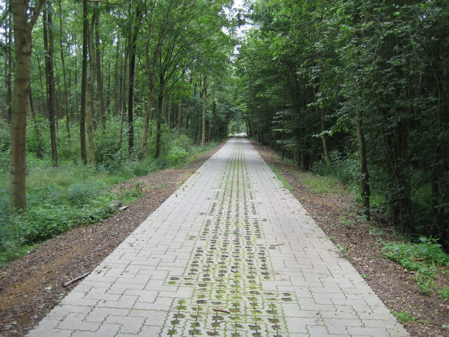 Pista ciclabile della Dahme tra Glashütte e Friedrichshof