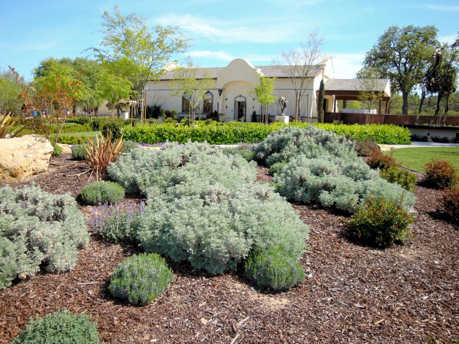 Vigneto e giardino di sculture presso la Sculpterra Winery a Paso Robles, California