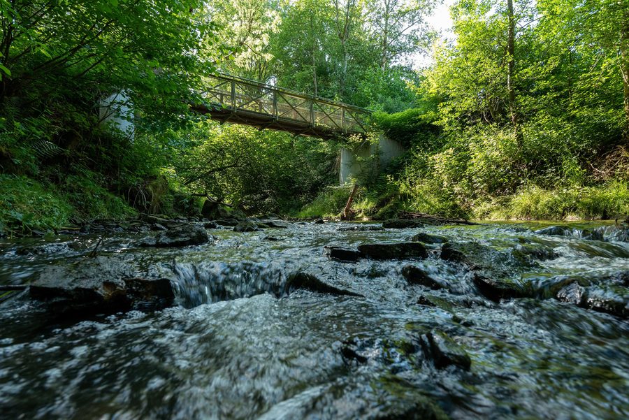 Il Sulzbach presso Denkendorf con ponte e vegetazione ripariale