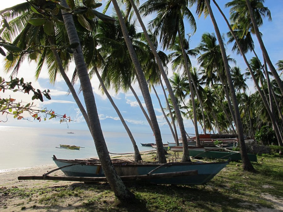 Paliton Beach a Siquijor con sabbia chiara, acqua limpida e palmeti di cocco