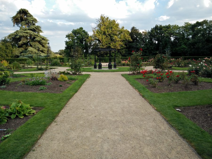 Roseto nel Corkagh Park a Clondalkin, Dublino
