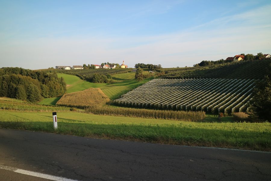 Langegg bei Graz con dolce paesaggio collinare
