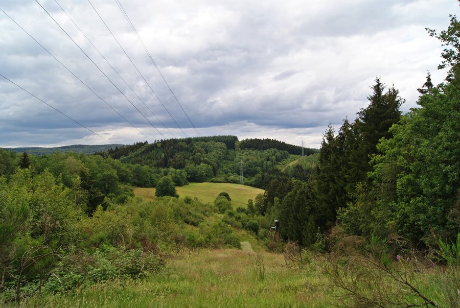 Paesaggio collinare presso Freudenberg in Renania Settentrionale-Vestfalia