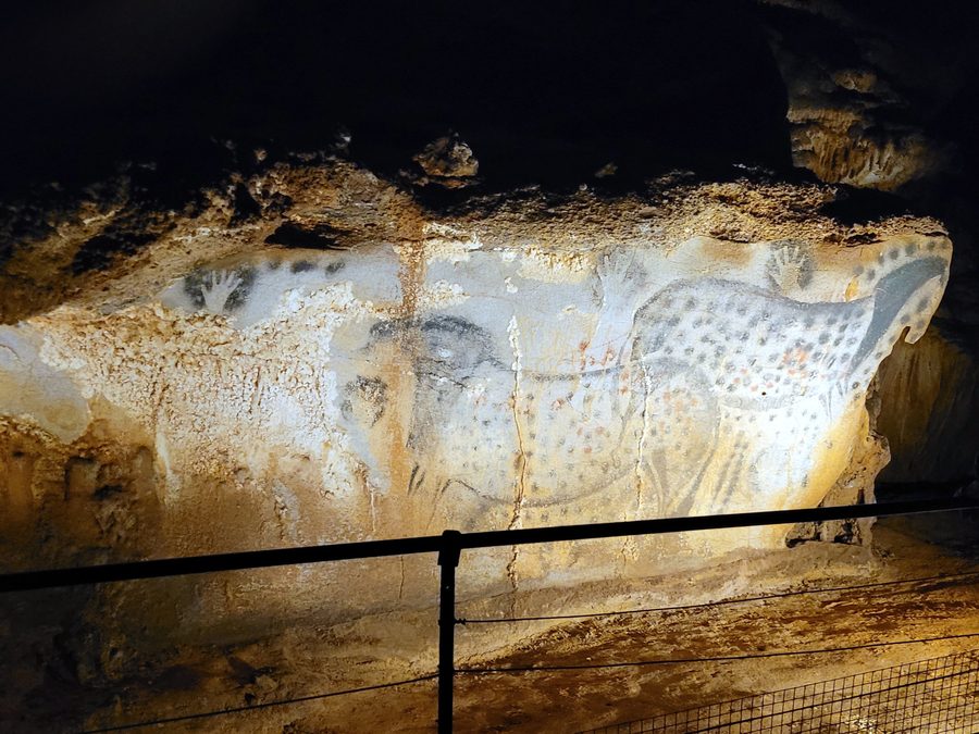Cavalli punteggiati della grotta di Pech Merle