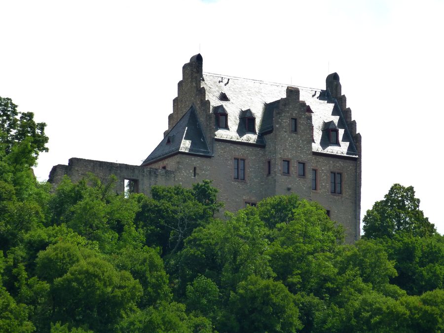 Altenbaumburg presso Altenbamberg su una collina boscosa