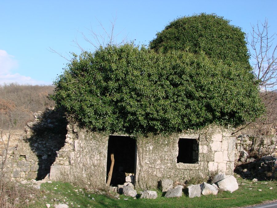 Vista dell’area di Gizdavac–Prugovo