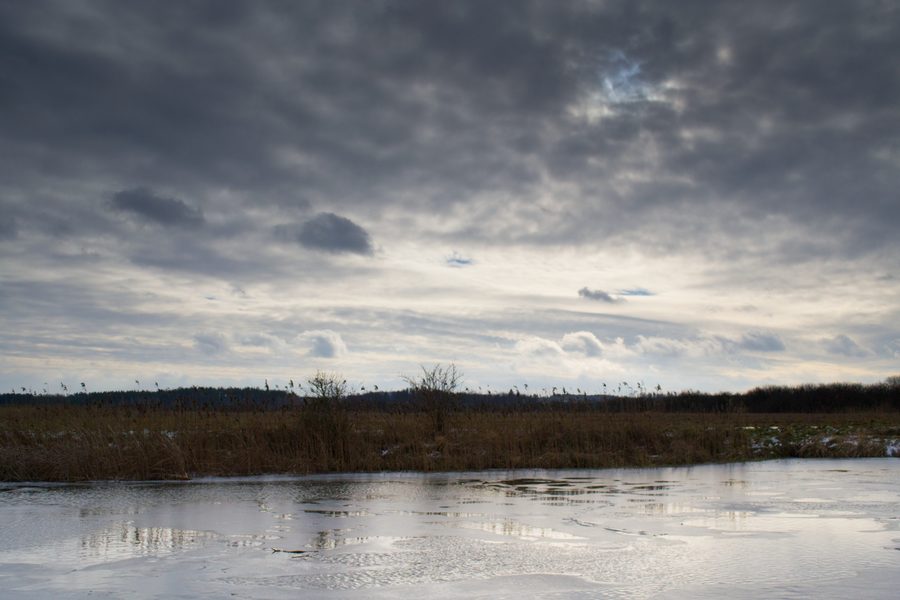 Paesaggio nel comune di Nakło nad Notecią in Polonia