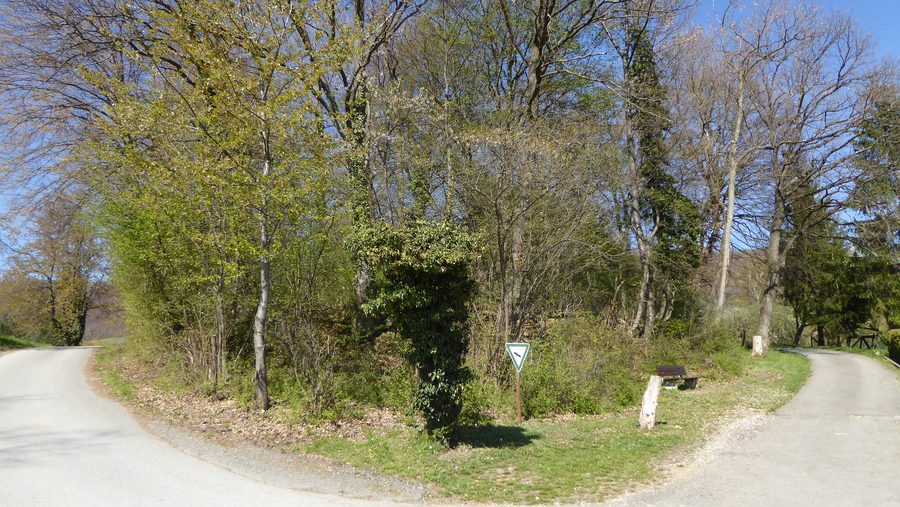 Frutteti a prato presso il boschetto di protezione degli uccelli Benedikten a Dettingen an der Erms
