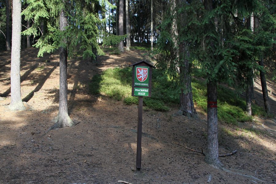 Formazioni di arenaria nella riserva naturale di Prachovské skály in Repubblica Ceca