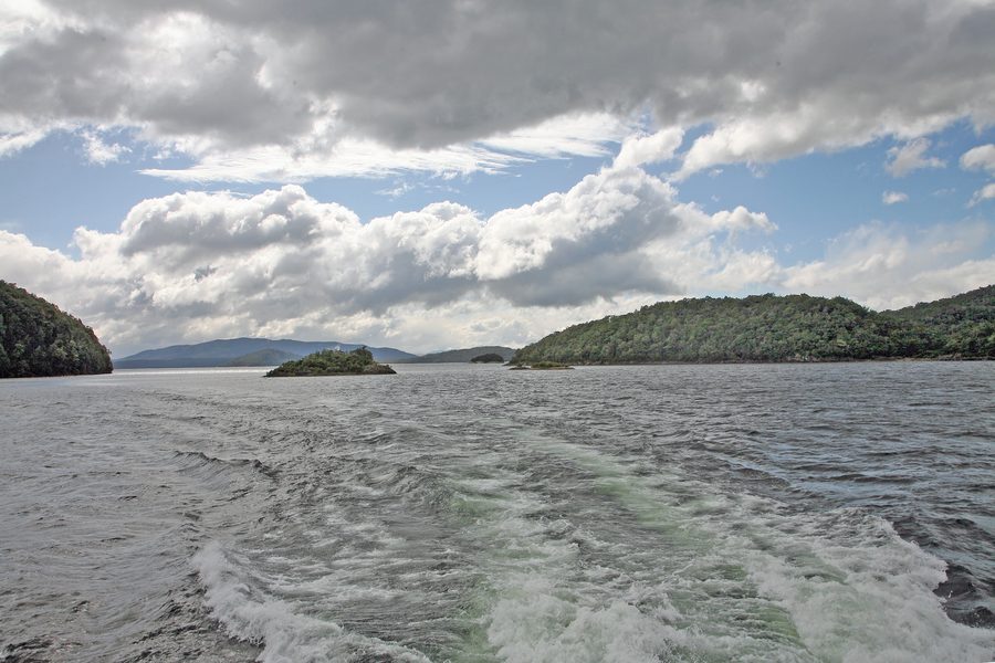 Lake Manapouri con montagne e paesaggio costiero boscoso nel Southland