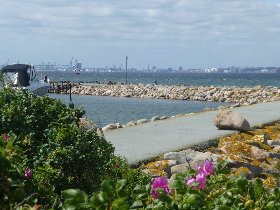 Aarhus vista dal porto turistico presso Skødshoved Bro