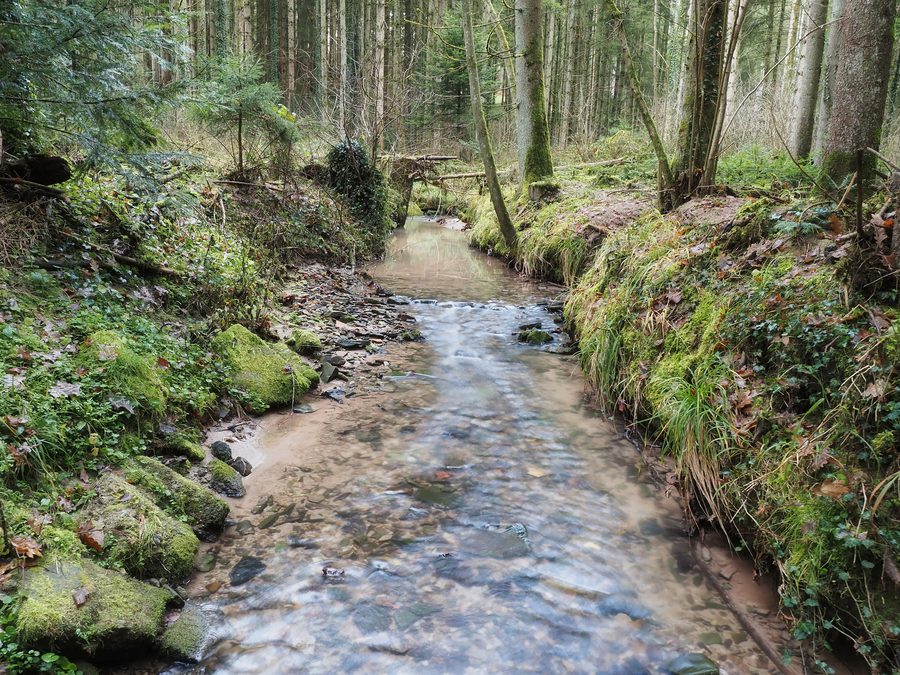 Lo Spraitbach, un ruscello tra Leinhaus e Stutzenklinge, scorre attraverso un paesaggio boscoso.
