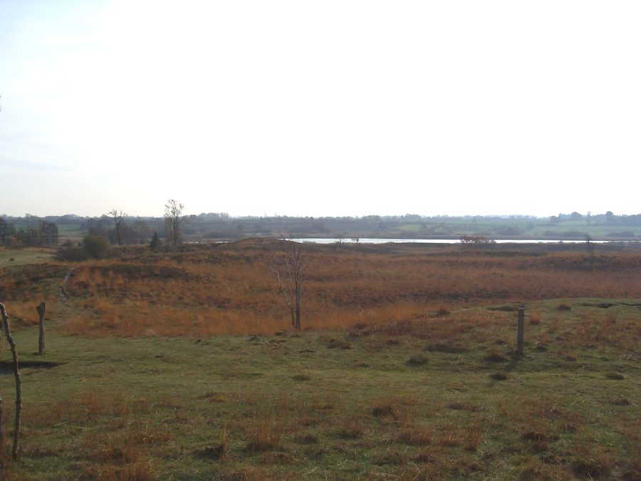 Vista dalla duna del Treßsee sul Treßsee nella riserva naturale