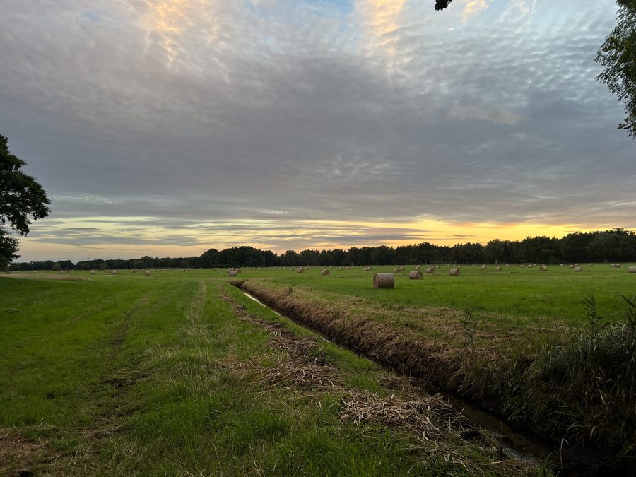 Cielo serale sopra un campo nel Löwenberger Land vicino alla riserva naturale di Liebenberger Bruch