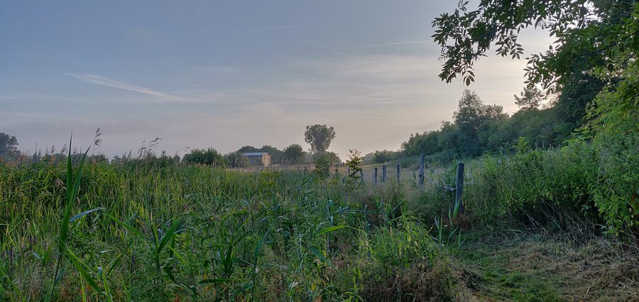 Neetzka al mattino con vista su una casa