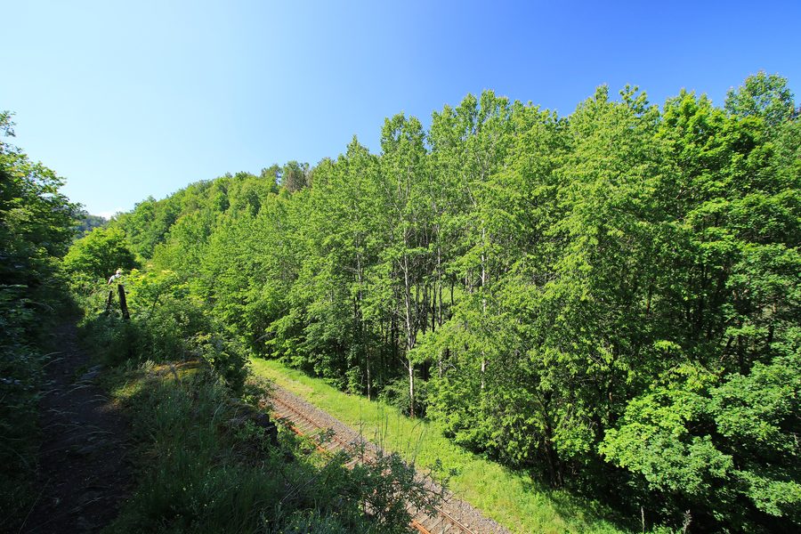 Area protetta paesaggistica della Talsperre Pöhl con rive boscose e basso orizzonte di media montagna