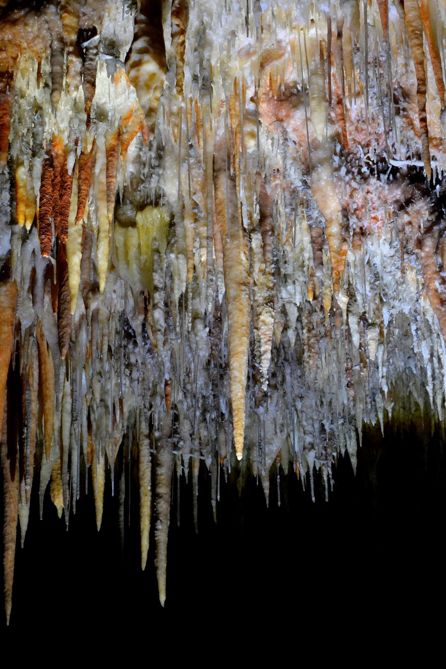 Stalattiti nella Jillabenan Cave presso Yarrangobilly nel Kosciuszko National Park