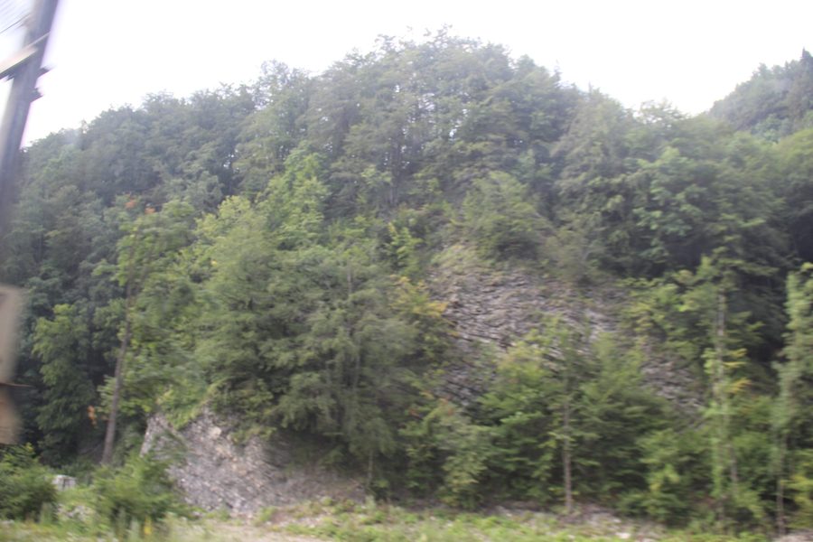 Vista sui pendii montuosi boscosi dei Carpazi rumeni.