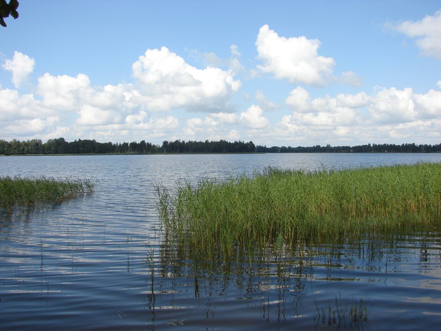 Vista sul lago Pušas nella parrocchia di Puša, Lettonia