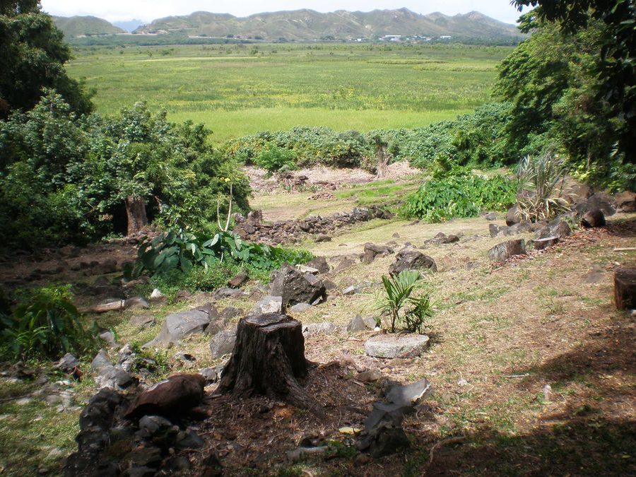 Vista sul giardino attraverso Kawai Nui Marsh verso Ulupō Heiau a Kailua, Hawaii