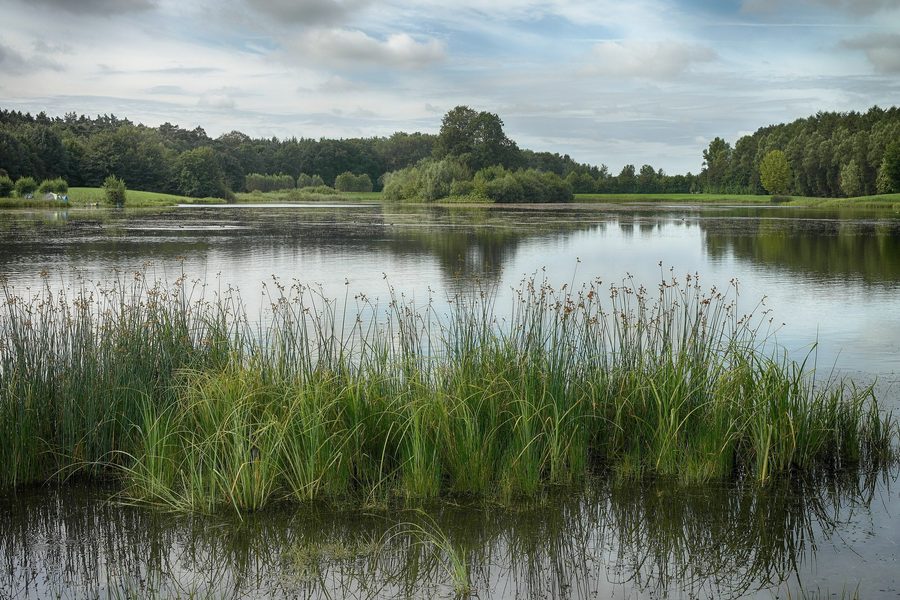 Il Kleihügelsee nella Altgemeinde Espelkamp