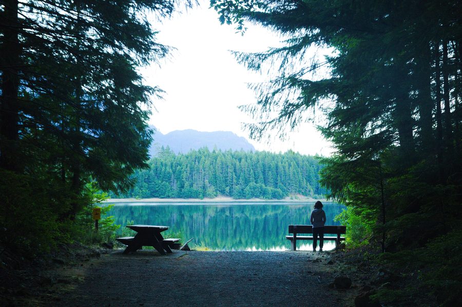 Tramonto sul Buttle Lake nello Strathcona Provincial Park