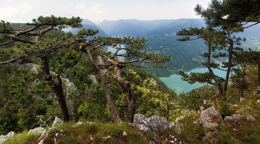 Vista dal punto panoramico Banjska Stena sul paesaggio del Parco nazionale di Tara
