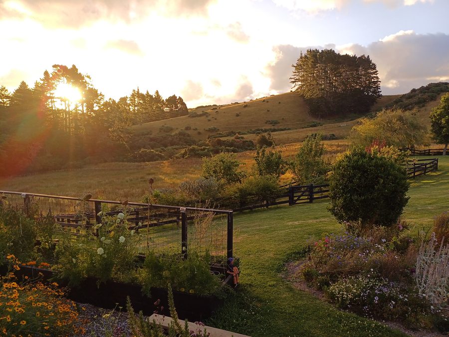 Campagna vicino a Dairy Flat al tramonto