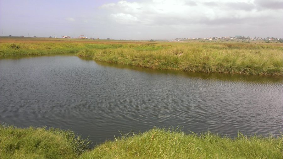Area umida del sito Ramsar di Sakumono lungo la Tema Beach Road in Ghana