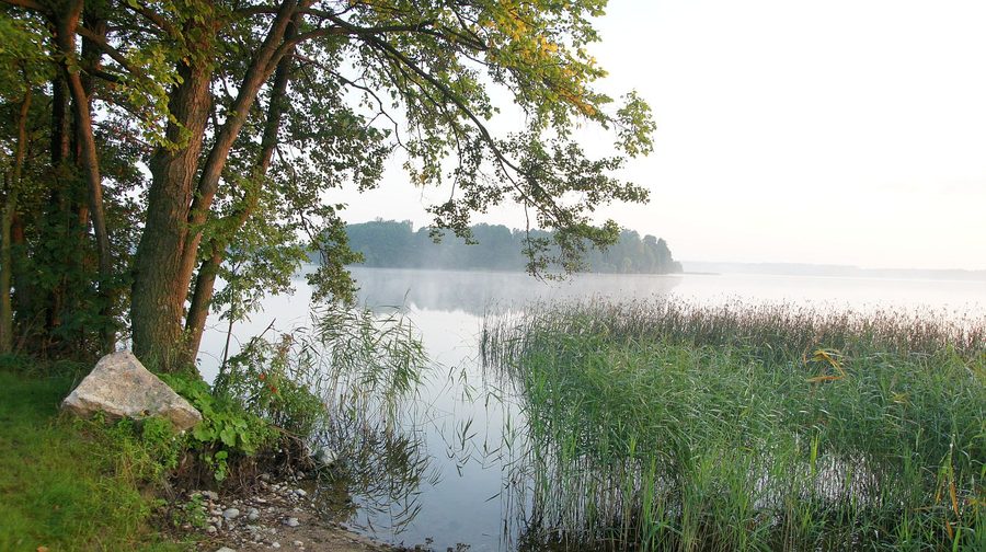 Paesaggio della riva del lago Łaśmiady in Polonia