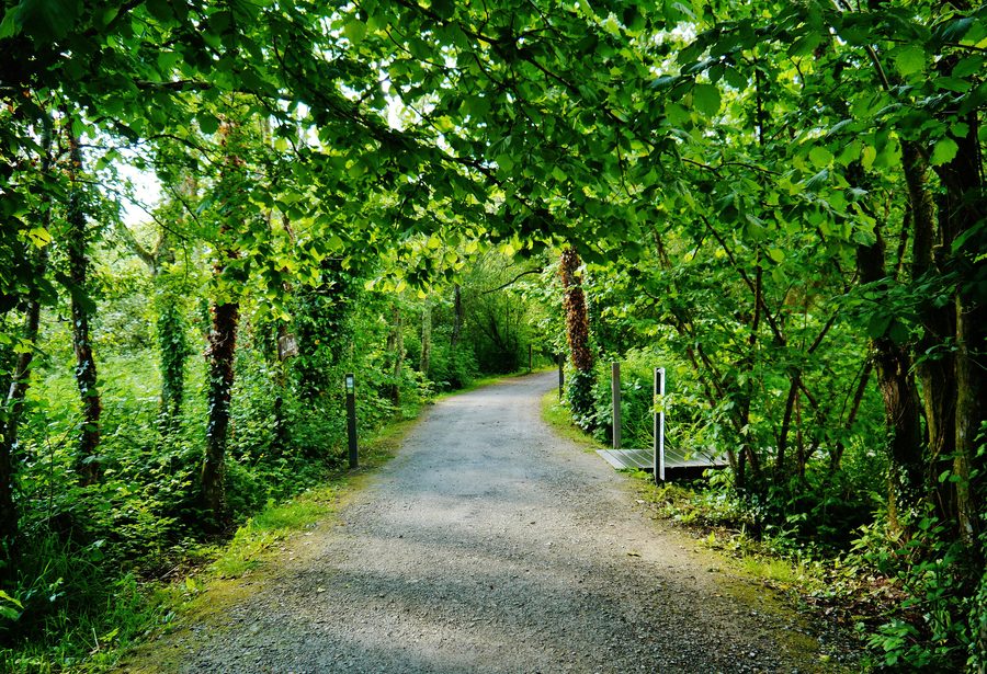 Complesso storico ricostruito nell'Irish National Heritage Park presso Ferrycarrig