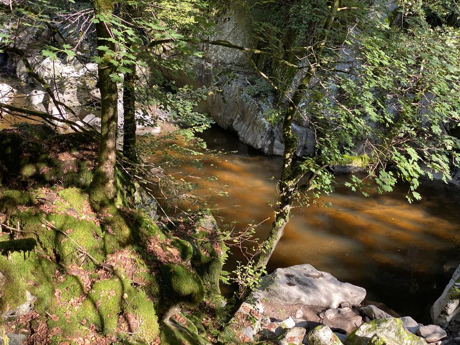 Paesaggio presso Schachen nel circondario di Waldshut con alture boscose e prati aperti