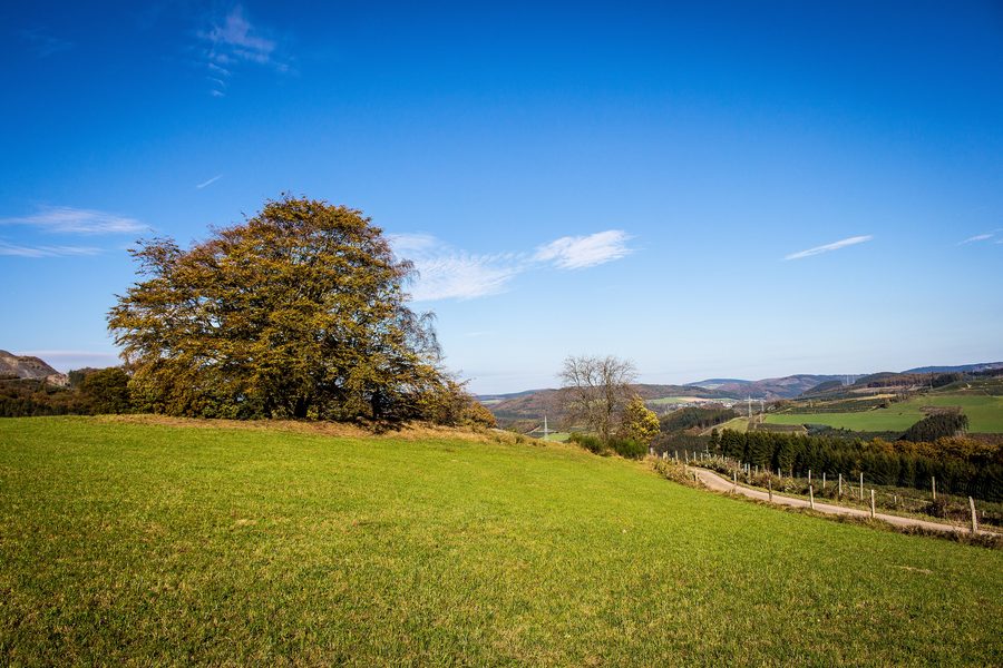 Paesaggio del Sauerland con una valle di ruscello presso Berlar a Bestwig