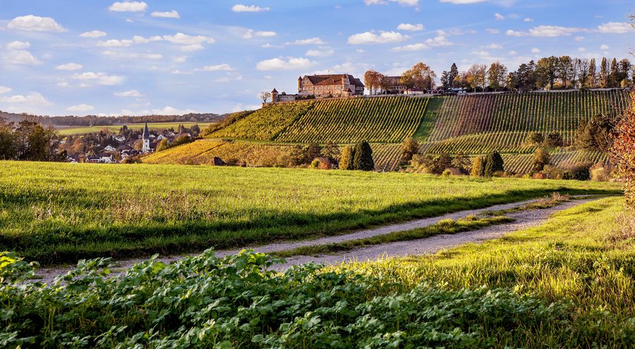 Untergruppenbach con il castello di Stettenfels nel paesaggio circostante