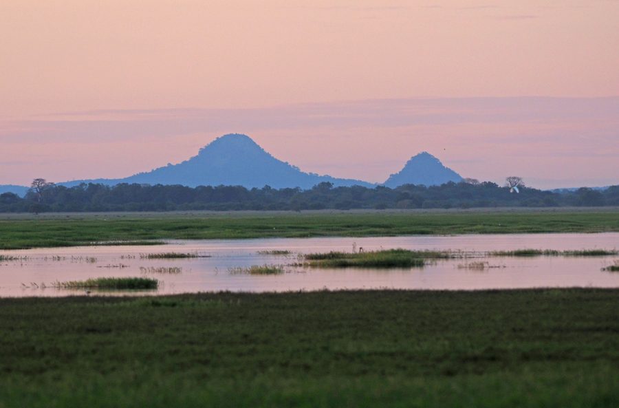Monte Gorongosa nel Parco nazionale di Gorongosa in Mozambico