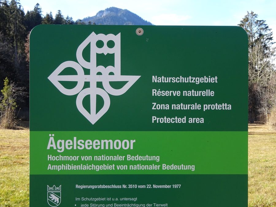 Ägelseemoor a Diemtigen nel cantone di Berna