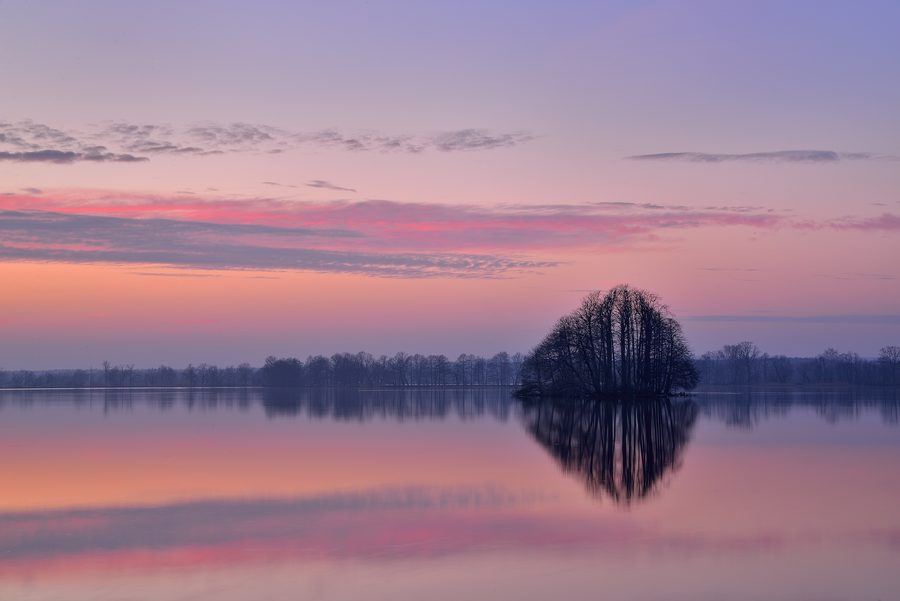 Zona umida con specchi d'acqua e vegetazione ripariale nel Parco paesaggistico della valle del Barycz